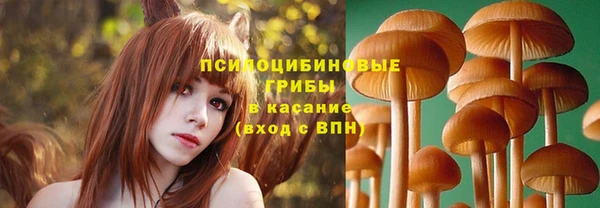 стаф Беломорск