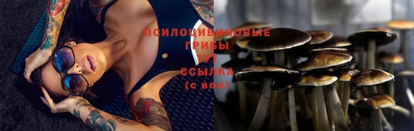стаф Беломорск