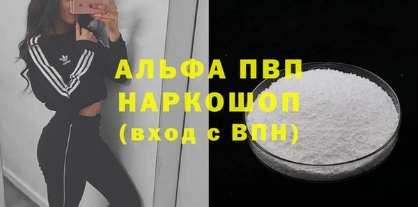 соль ск Сосновоборск
